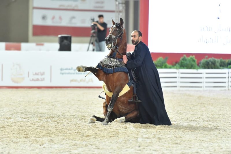 2-11 - جريدة الوفاق الالكترونية