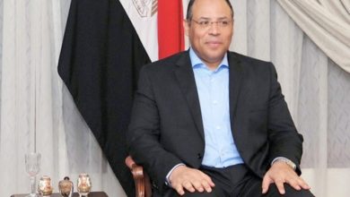 محمد أبو الوفا سفيراً جديداً لمصر لدى الكويت
