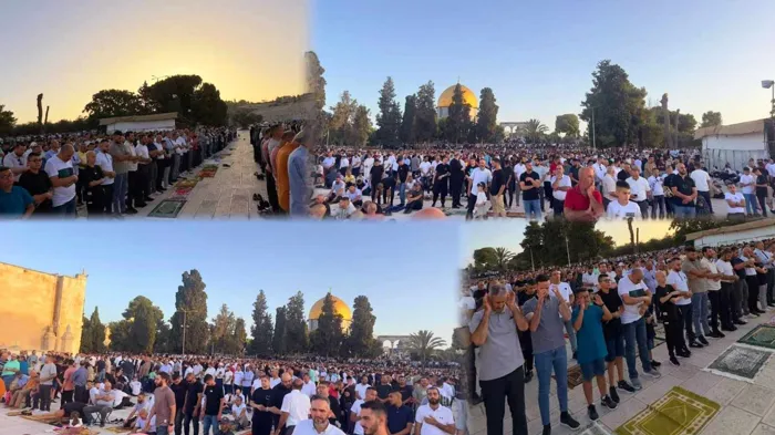 904df720-429e-11f0-85bb-c7a50ab80952-file-1749190924159-360720011 - جريدة الوفاق الالكترونية