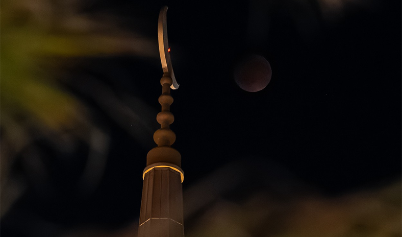 31 - جريدة الوفاق الالكترونية