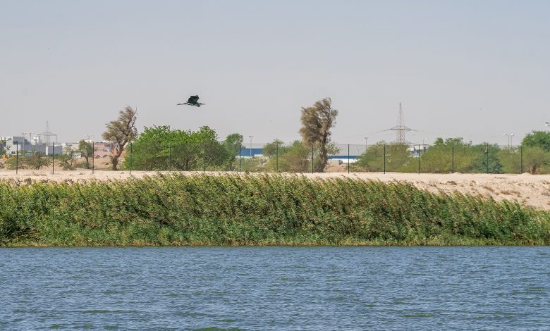 - جريدة الوفاق الالكترونية