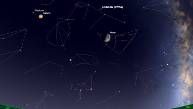 G4Q56d3XgAAnikW - جريدة الوفاق الالكترونية