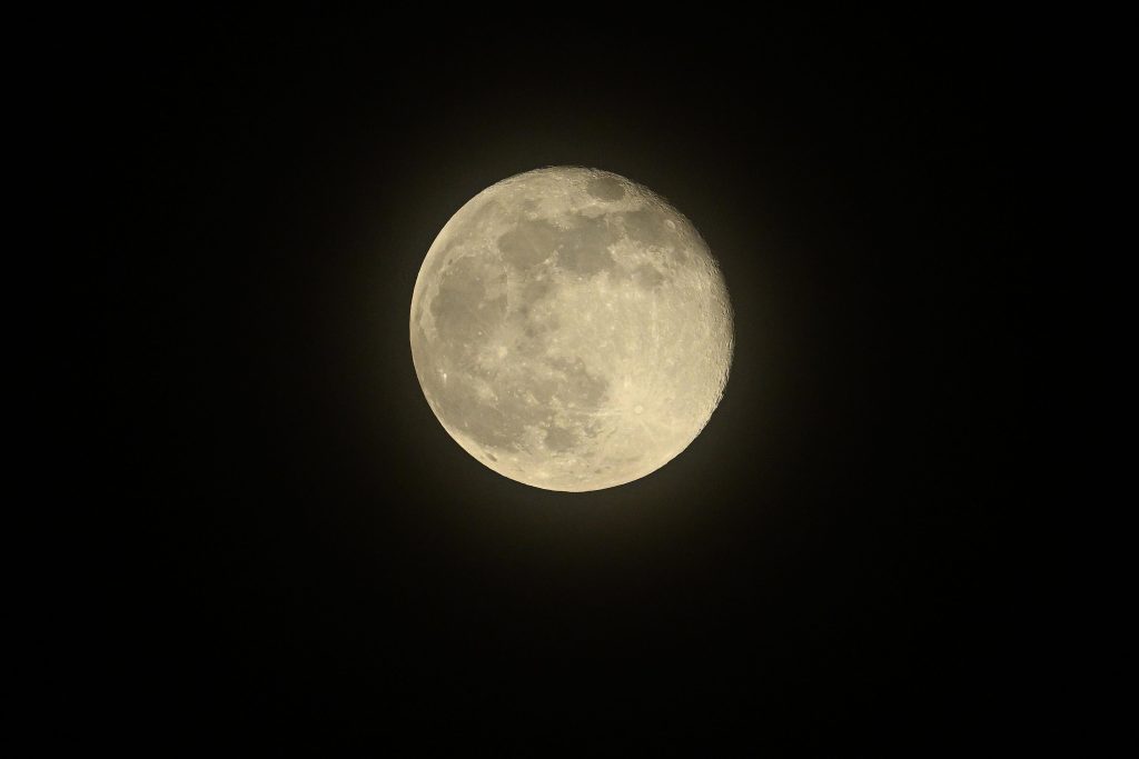 57c201c2-5a01-40d7-871d-db3004e876ec - جريدة الوفاق الالكترونية