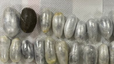 8406433700_img - جريدة الوفاق الالكترونية