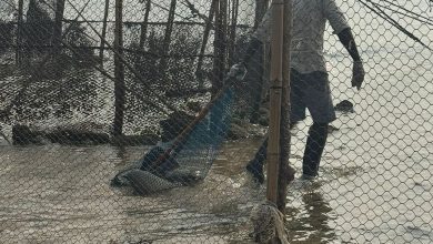 G531K81W8AAqT6Y - جريدة الوفاق الالكترونية