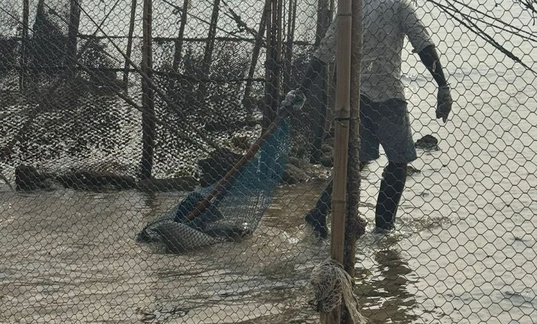 G531K81W8AAqT6Y - جريدة الوفاق الالكترونية