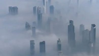 G5oVBCpWEAE2q9w - جريدة الوفاق الالكترونية