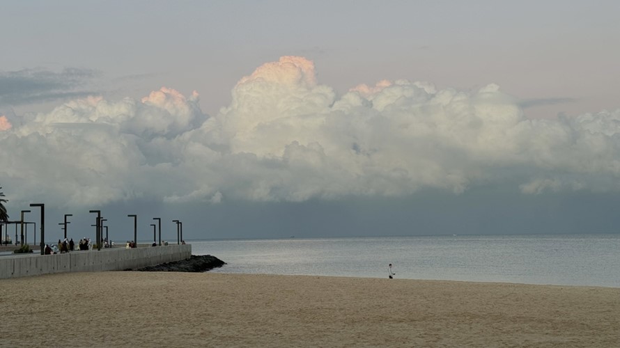 1337618-2 - جريدة الوفاق الالكترونية