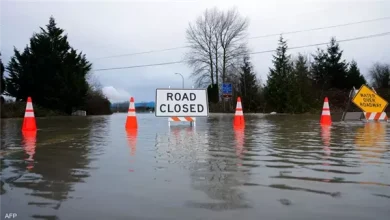 203 - جريدة الوفاق الالكترونية