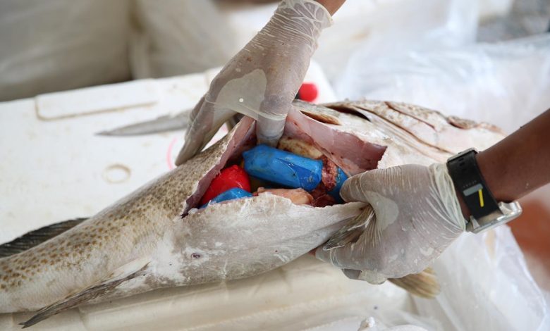 G8HdejzWUAUdnUS - جريدة الوفاق الالكترونية