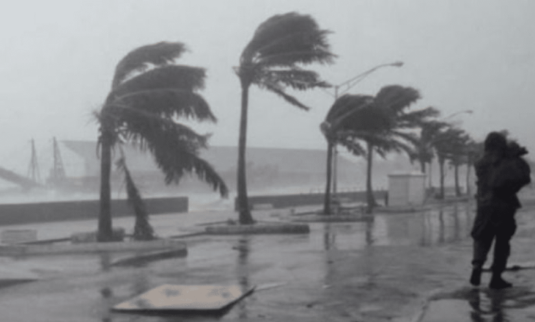 awras-1768903777 - جريدة الوفاق الالكترونية