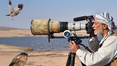 تنزيل - جريدة الوفاق الالكترونية