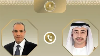 وزيرا خارجية مصر و الإمارات